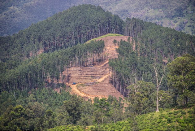 野生栖息地减少是导致许多物种灭绝消失的主要原因之一。